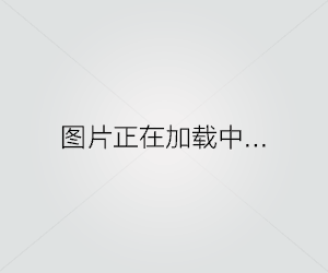 针毛鼠的饲养全攻略（宠物养殖从入门到精通，想养就养，想养好就看这里！）